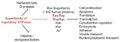 Thumbnail for version as of 01:42, 10 May 2022