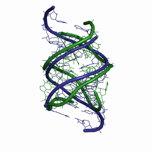 Resize of fig.3f.png