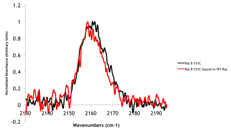 File:Ral Ras binding.png