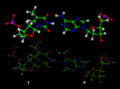 Thumbnail for version as of 01:42, 10 May 2022