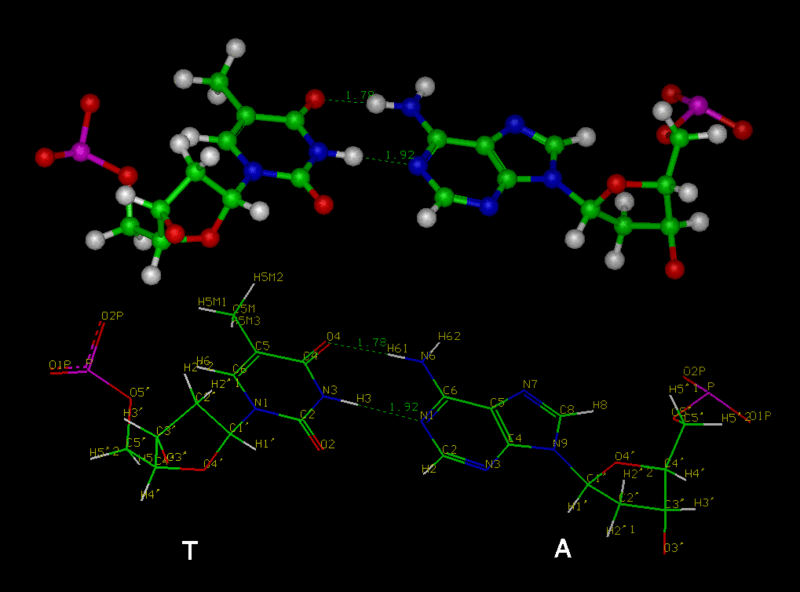 File:T-A.gif