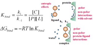Binding free energy.png